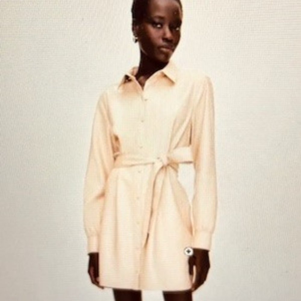 Aritzia - Wilfred - Caroline Leather Dress